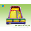 Inflatable Barney Slide